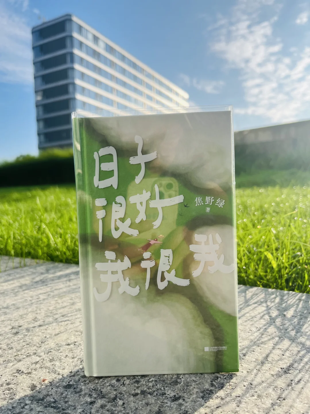 少量特签版《日子很好，我很我》返场啦！