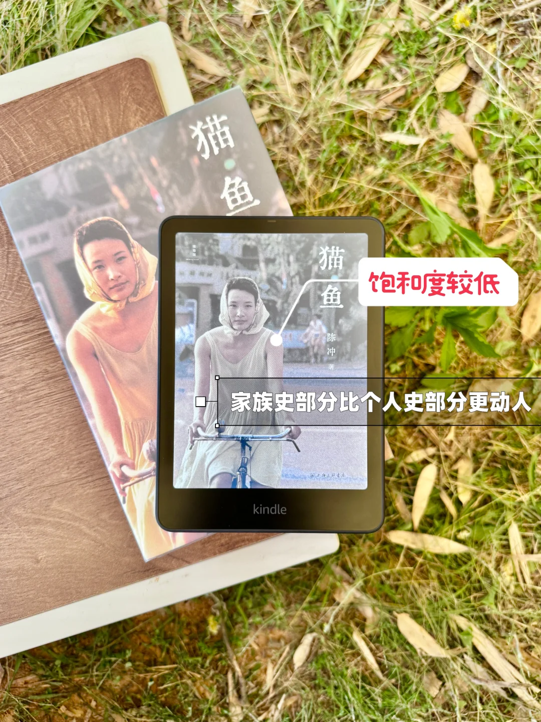 Kindle Colorsoft使用两月后的个人真实感受