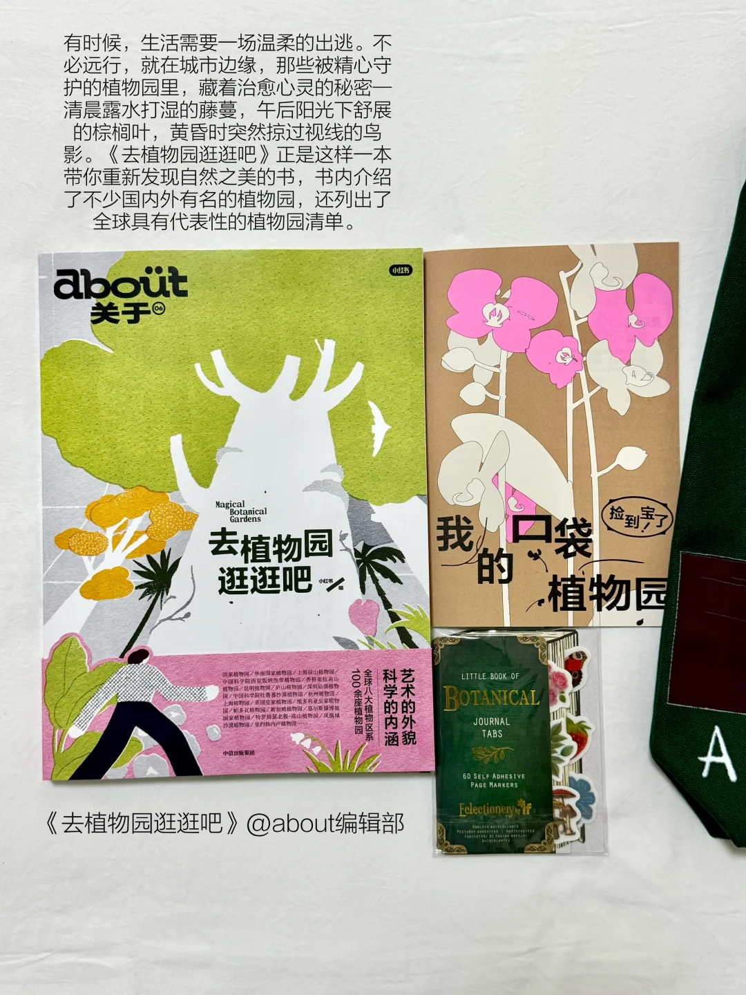 谁懂啊！拆新书真的好快乐｜每本都太爱了！