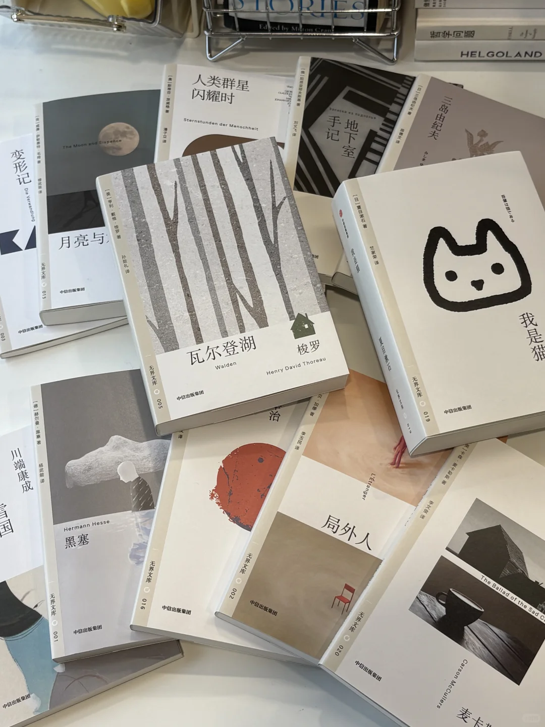 是谁又幸福了！通勤路上口袋本每天不重样🐈