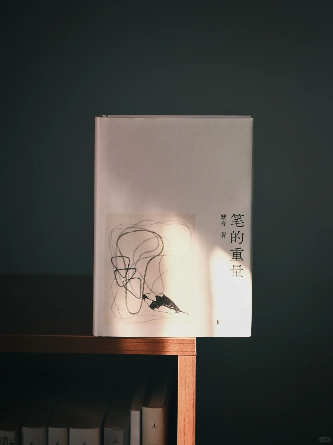 新书开箱｜六本期待已久的新书