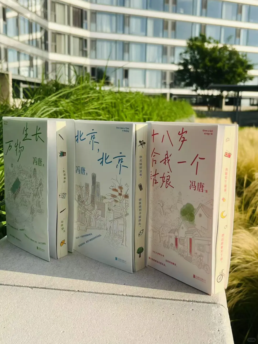 冯唐的北京三部曲，专治成年人的拧巴！