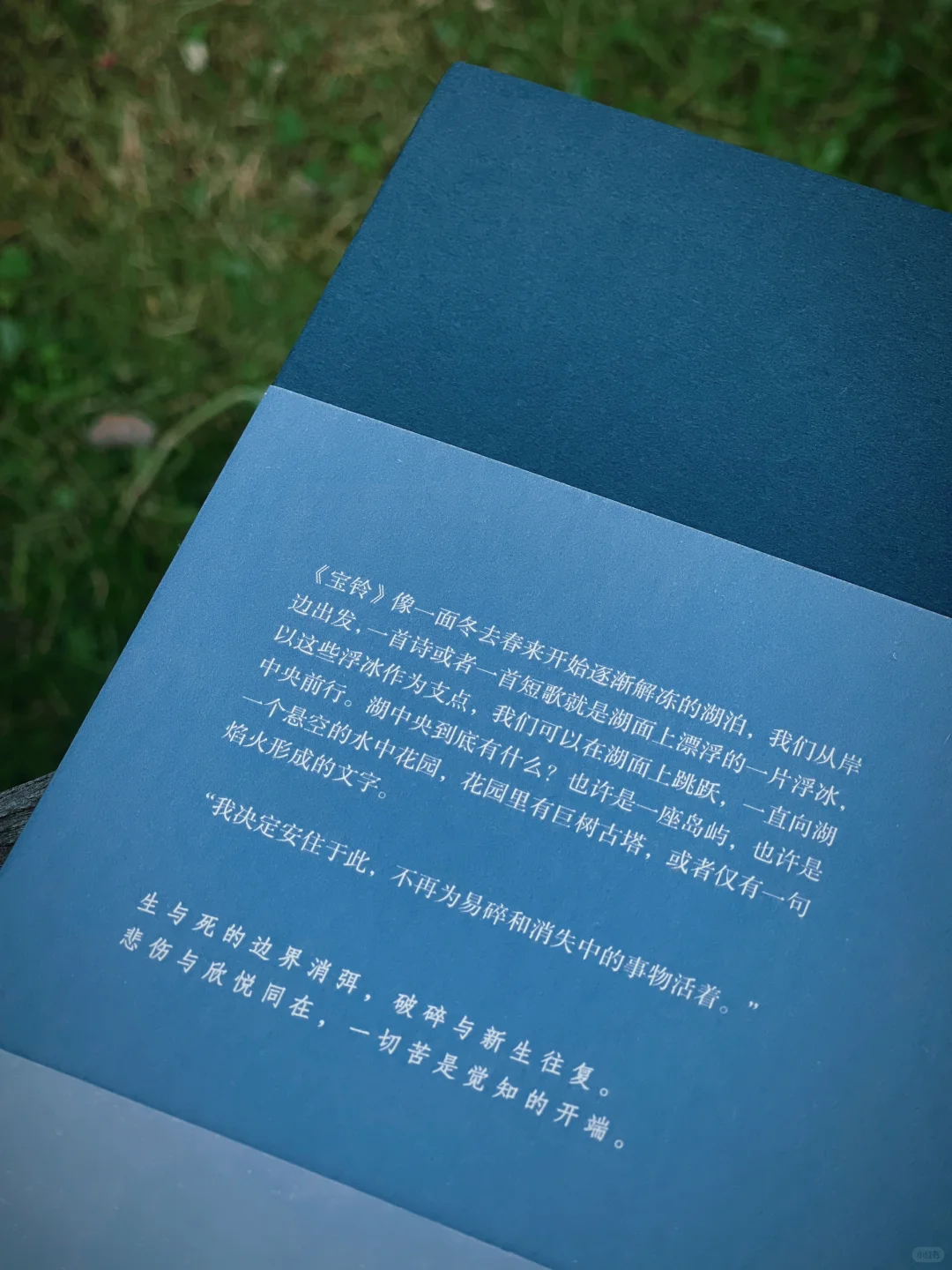巨惊艳，有想抄书的冲动！