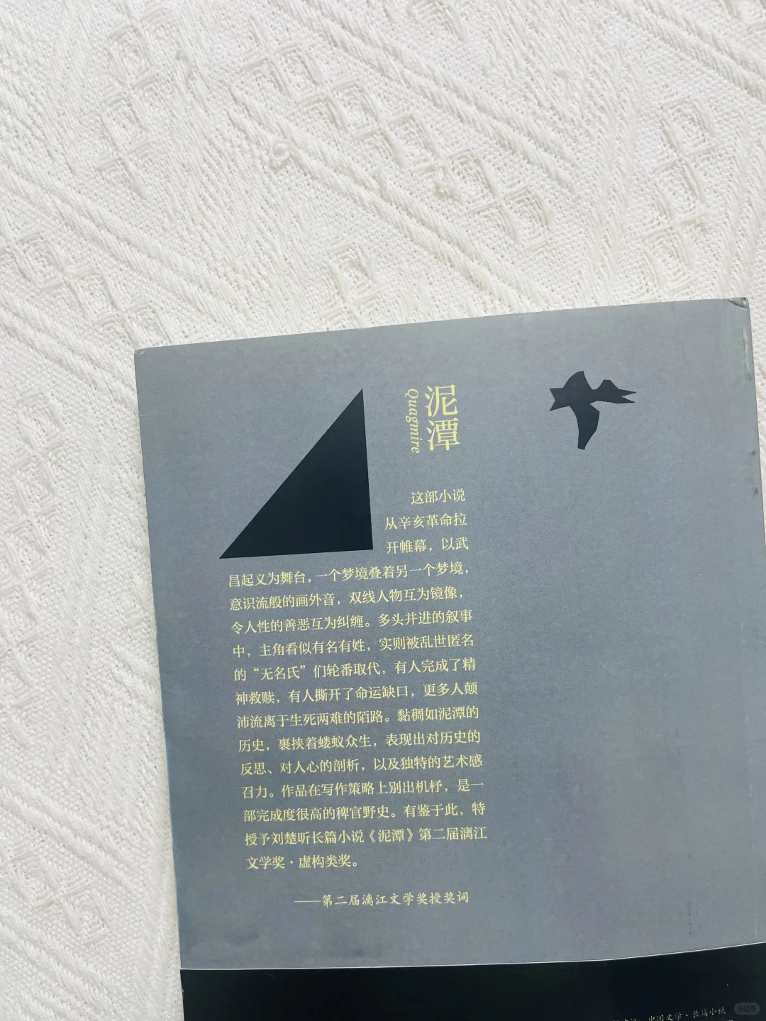 余华推荐，刘楚昕《泥潭》新书到货啦！
