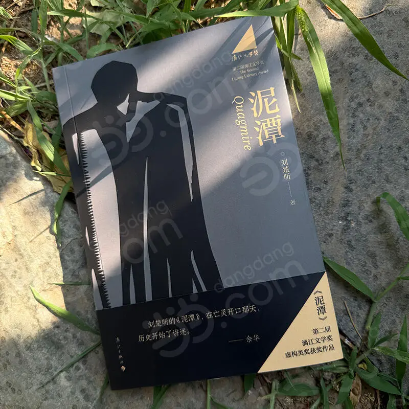 漓江文学奖刘楚昕《泥潭》预售开启❗️