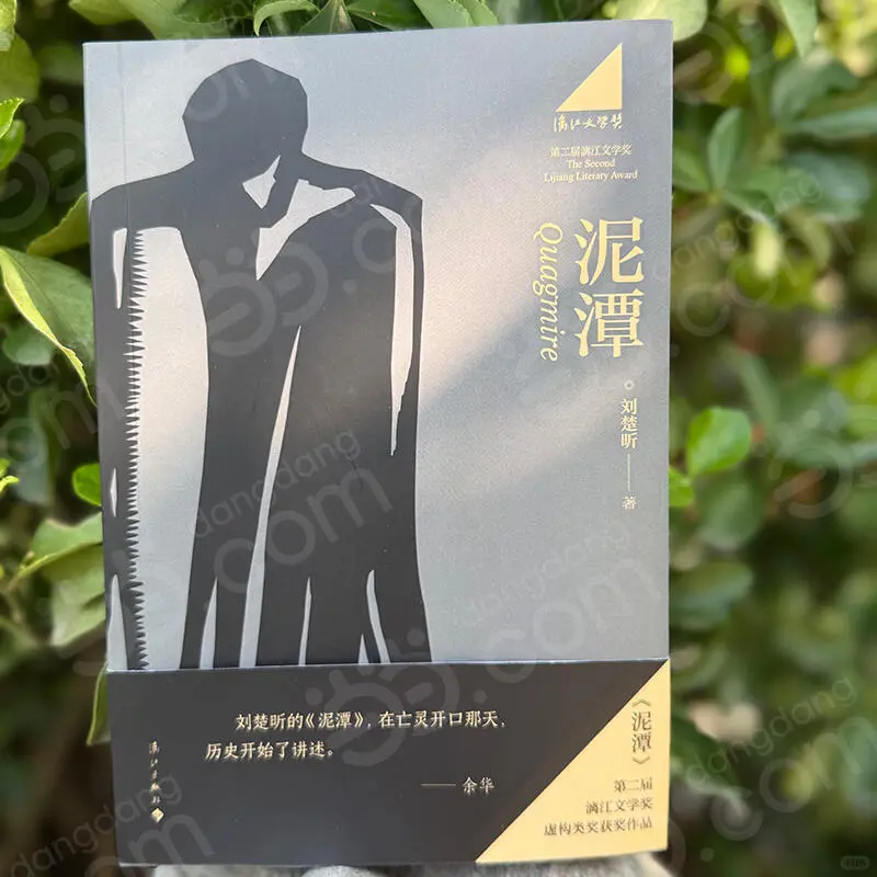 漓江文学奖刘楚昕《泥潭》预售开启❗️