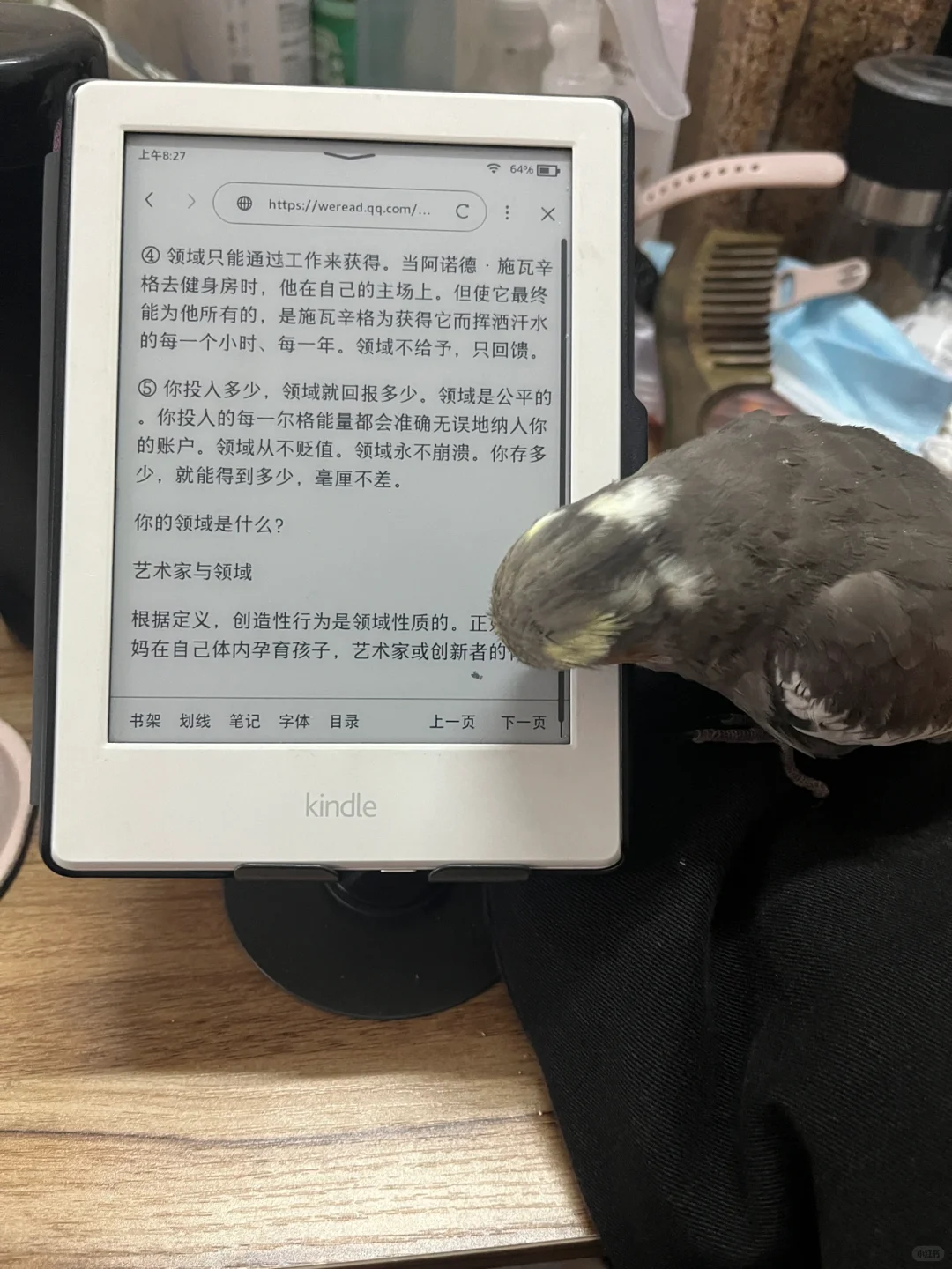 一觉醒来第一时间打开的是kindle