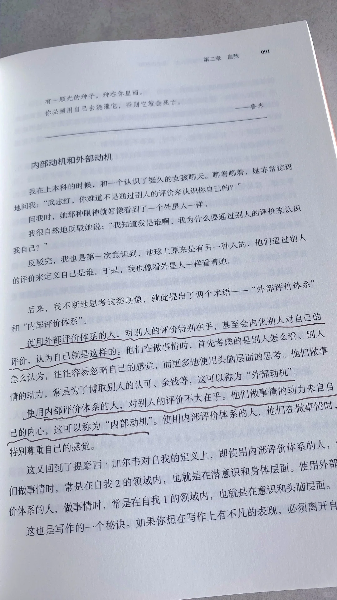 熬夜读完武志红新书！｜普通人逆袭必看🔥