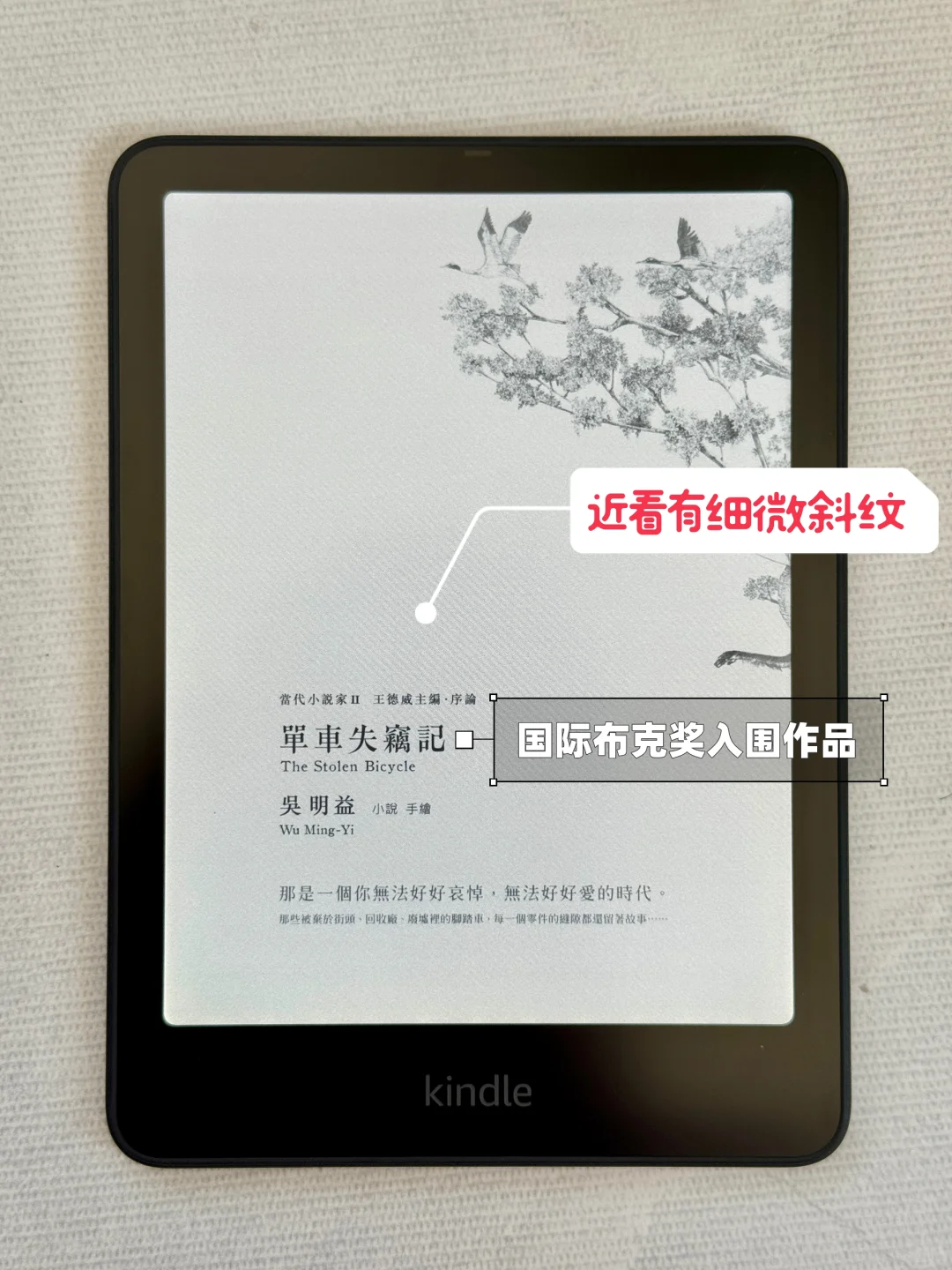 Kindle Colorsoft使用两月后的个人真实感受