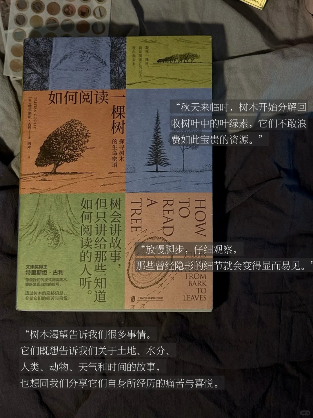被50w人围观的月度书单——半年汇总版。