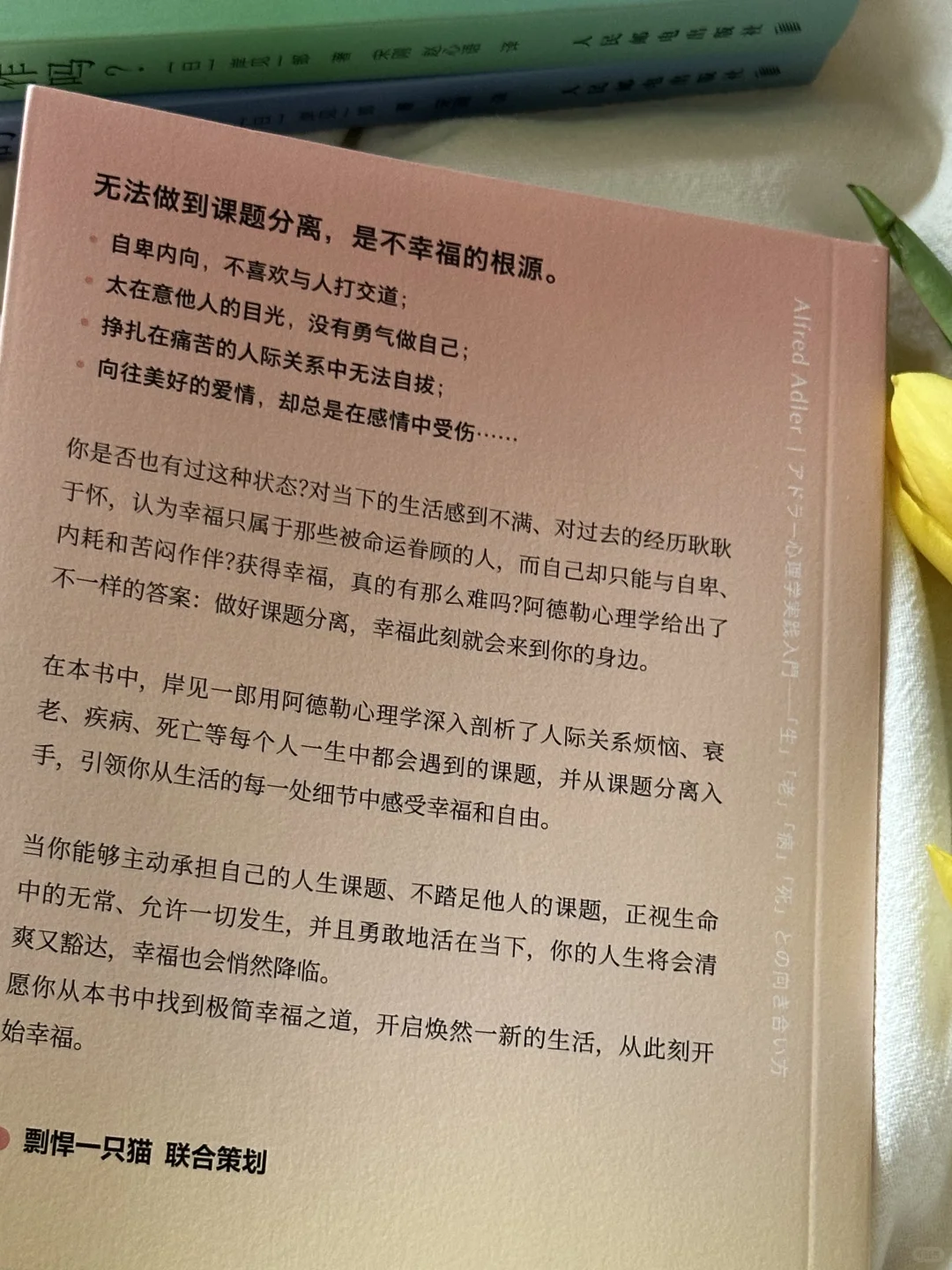 被这本书狠狠治愈了😭低谷期一定要看！！