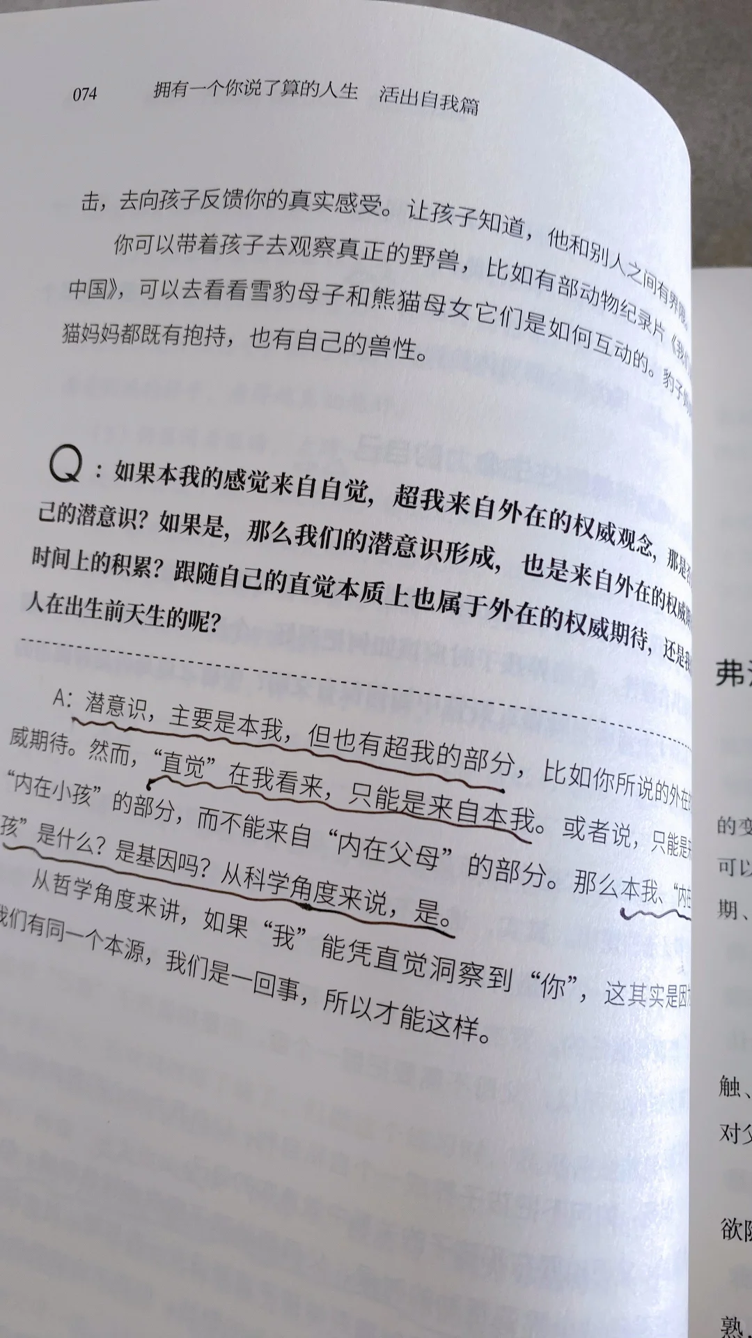 熬夜读完武志红新书！｜普通人逆袭必看🔥