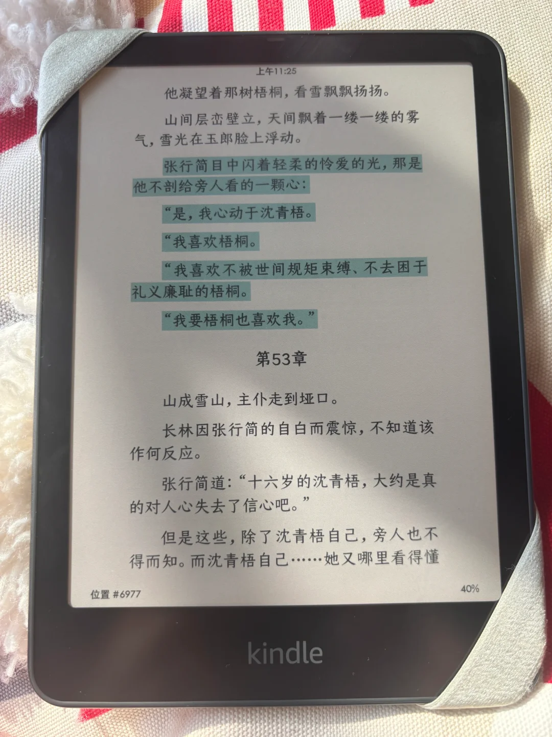 kindle colorsoft真的貌美❗️
