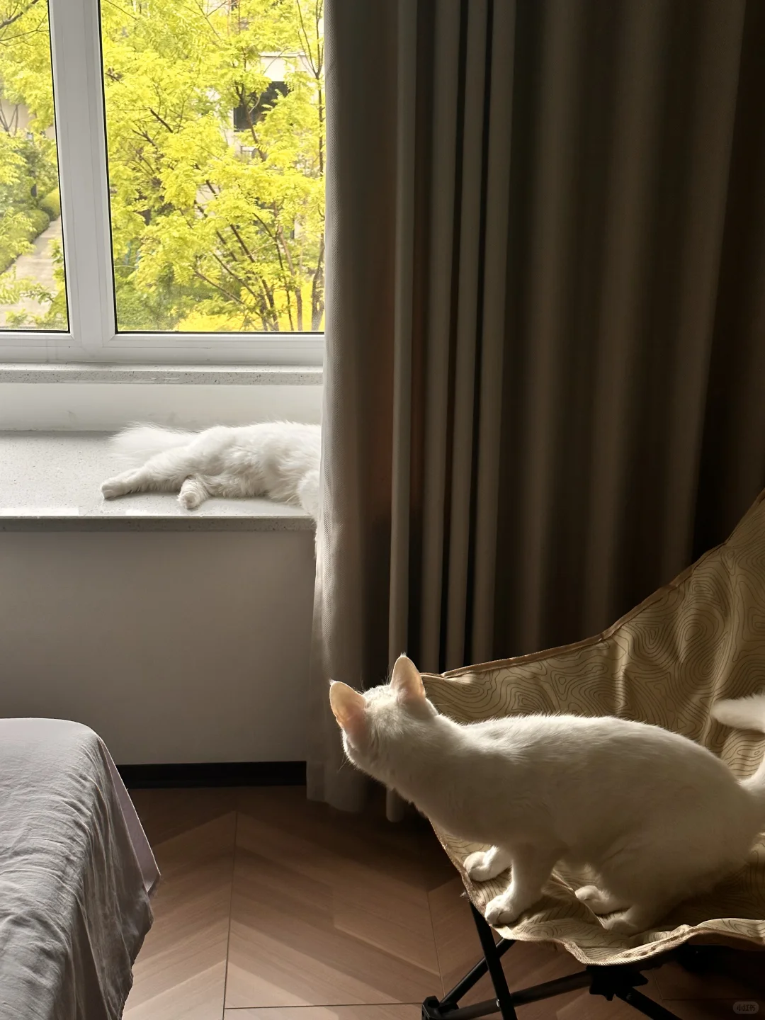 书是买买买，读读读不完