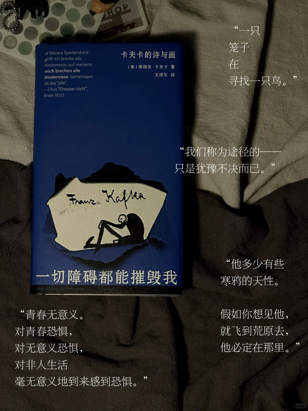 被50w人围观的月度书单——半年汇总版。