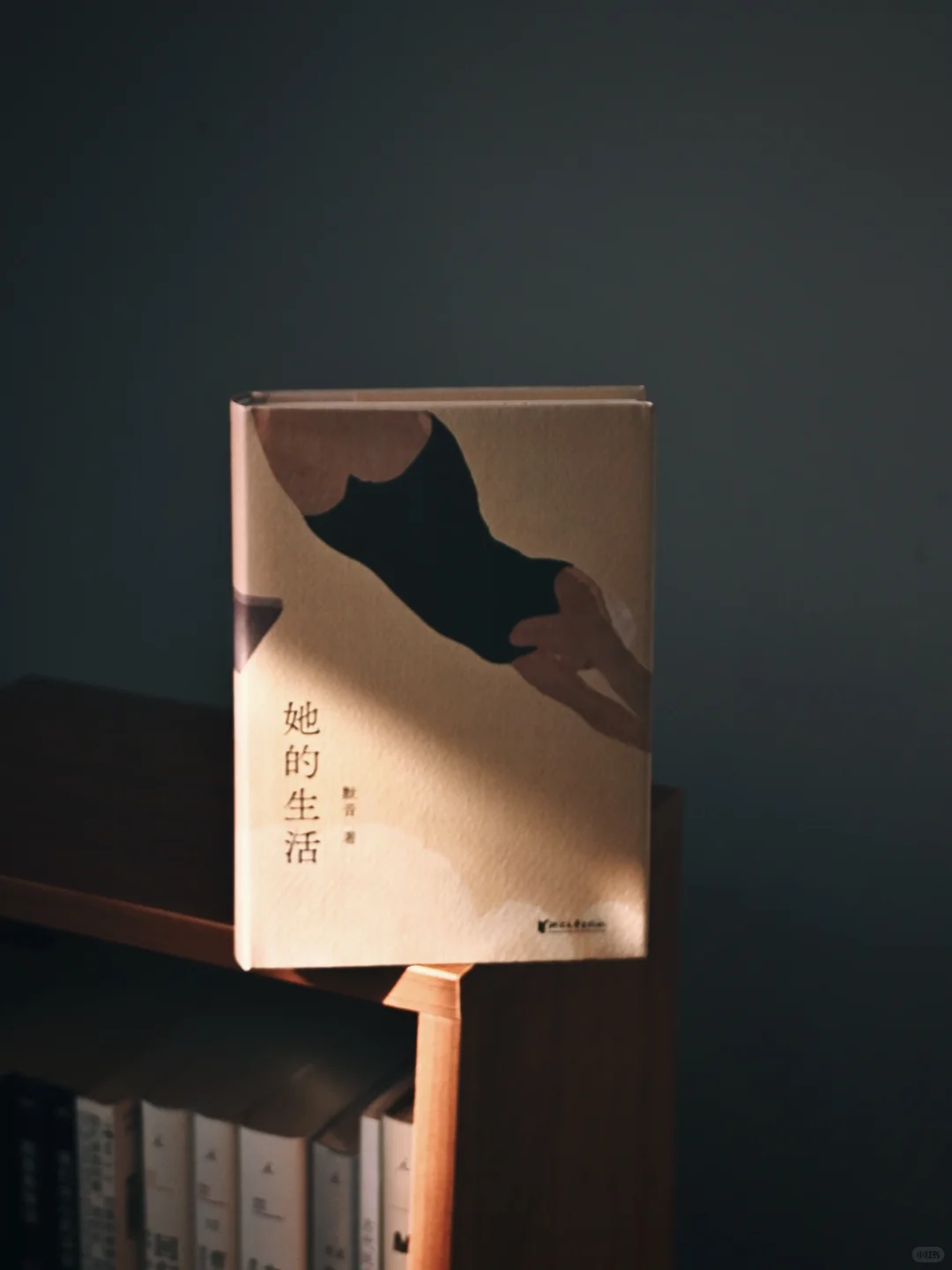 新书开箱｜六本期待已久的新书