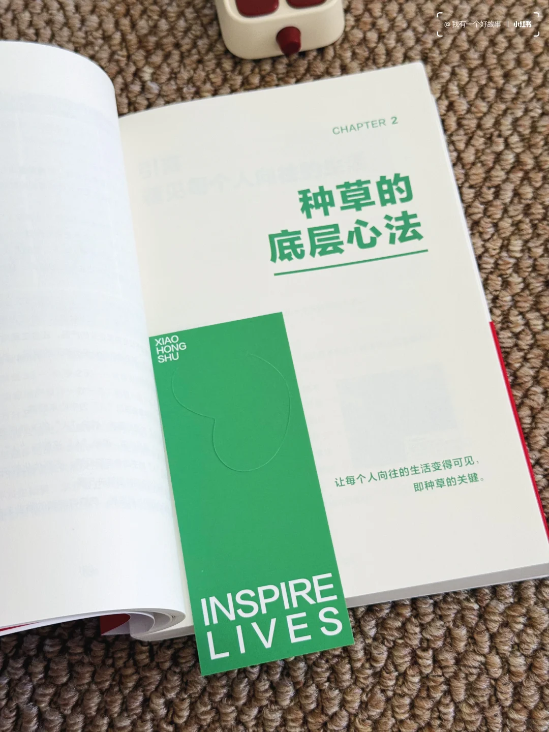 2025想做小红书的姐妹们💥快看这本书学习‼️