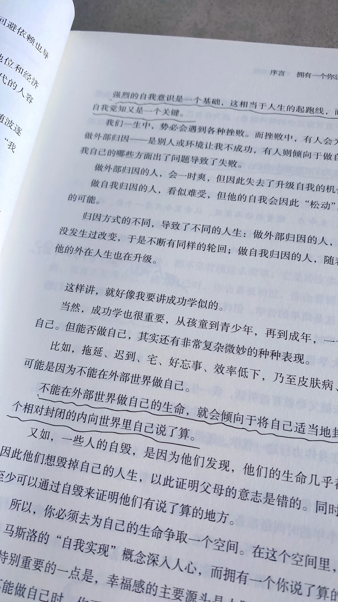 熬夜读完武志红新书！｜普通人逆袭必看🔥