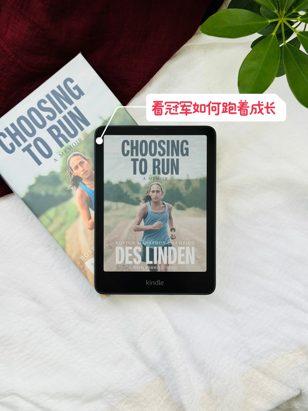 Kindle Colorsoft使用两月后的个人真实感受