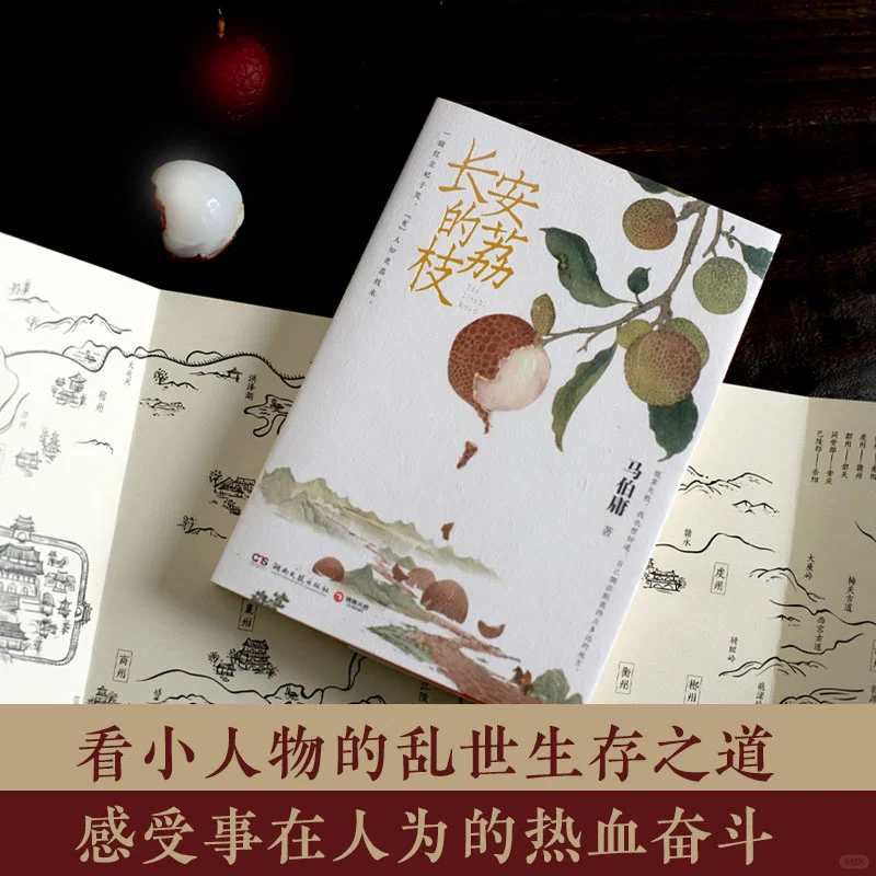 马伯庸书单：打工人治愈指南