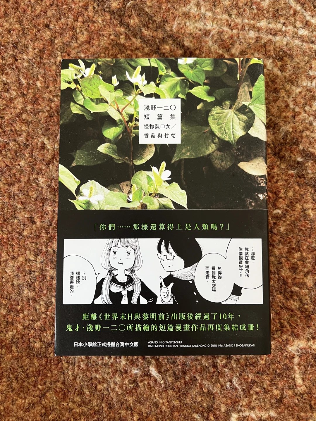吃着冰棍儿读的暑假书单