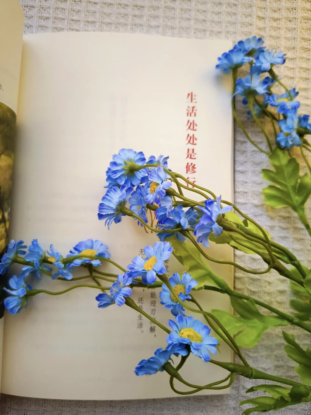 推荐小焓新书《所有发生皆为你而来》