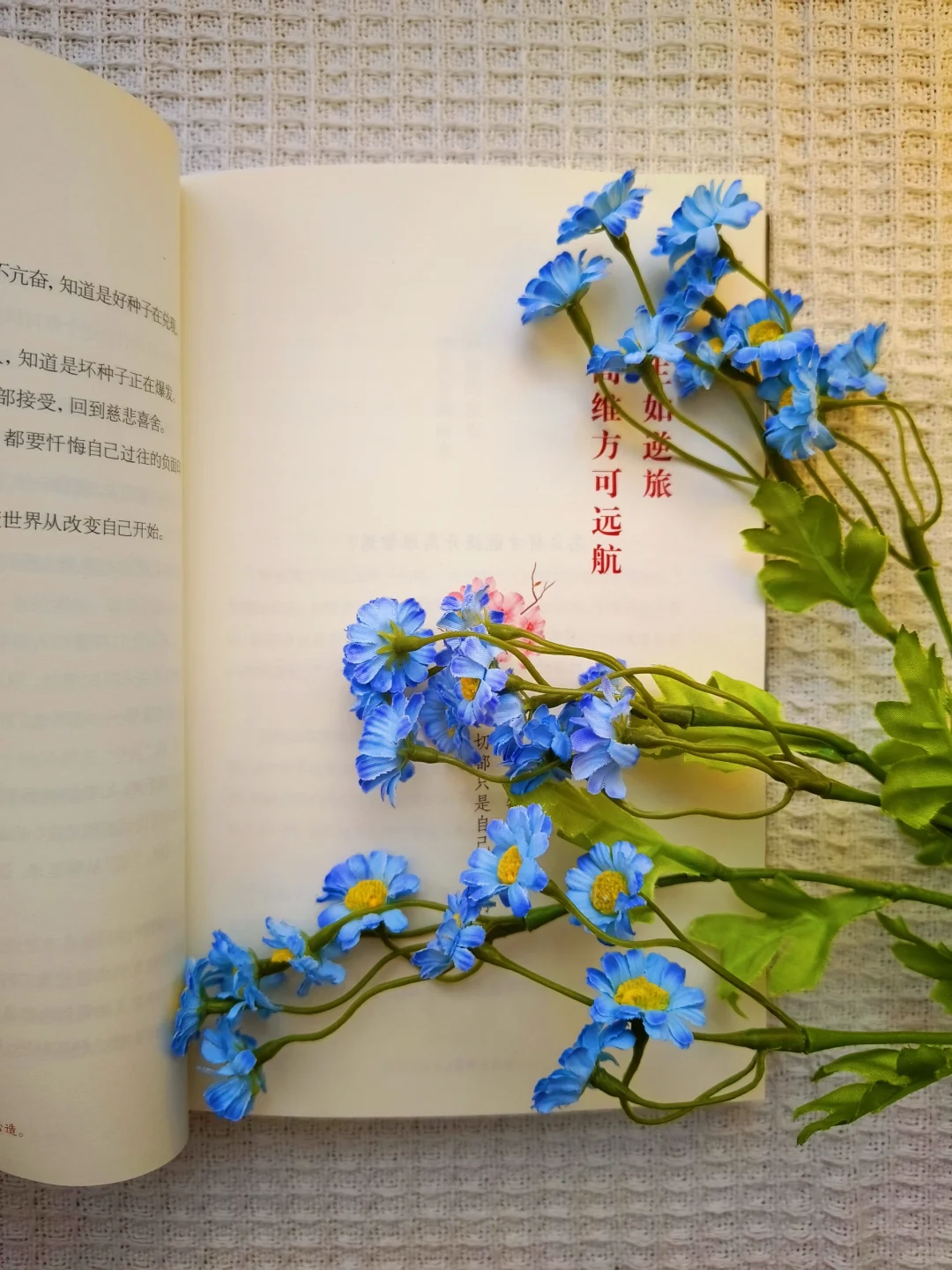 推荐小焓新书《所有发生皆为你而来》