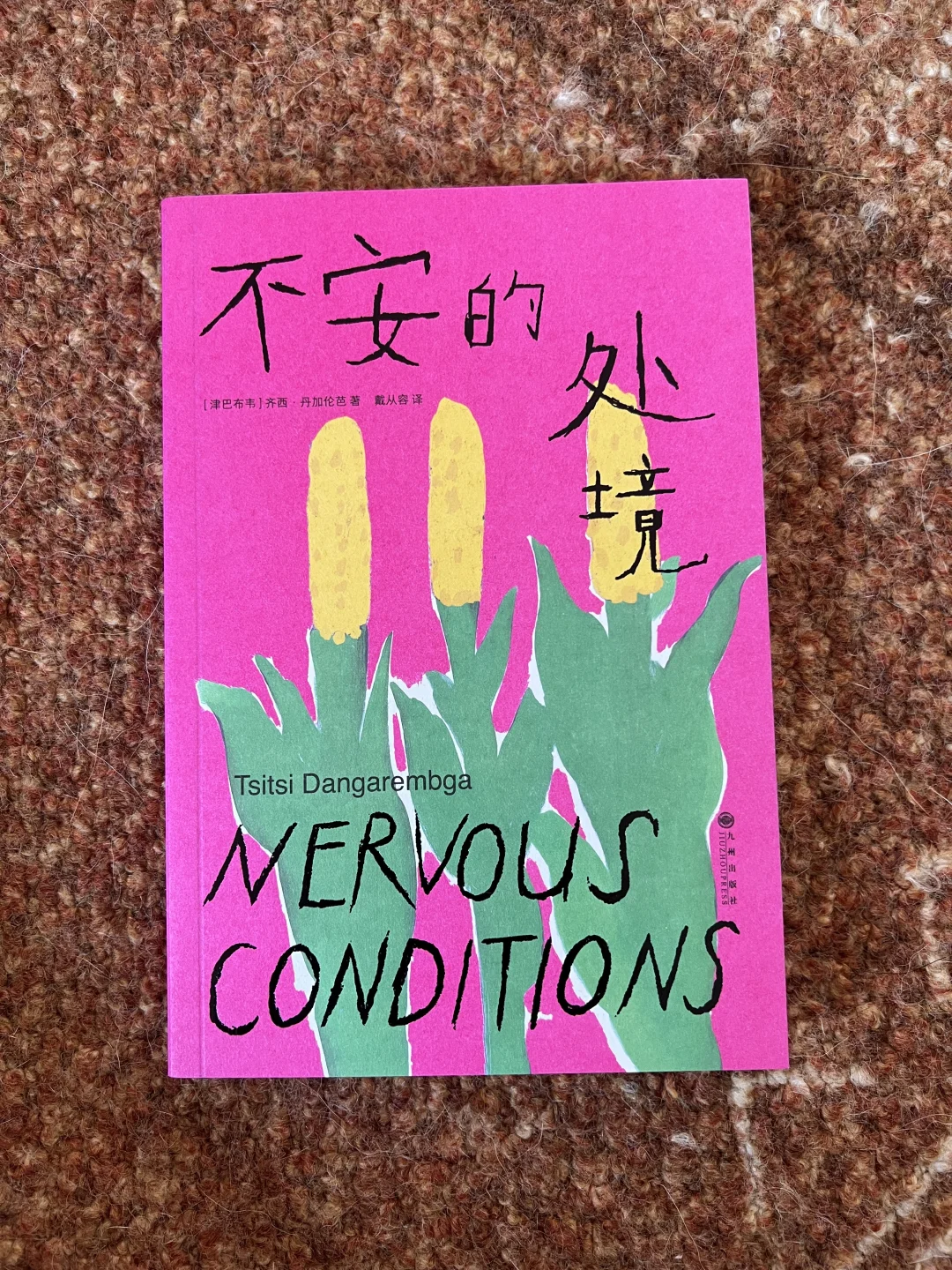 吃着冰棍儿读的暑假书单