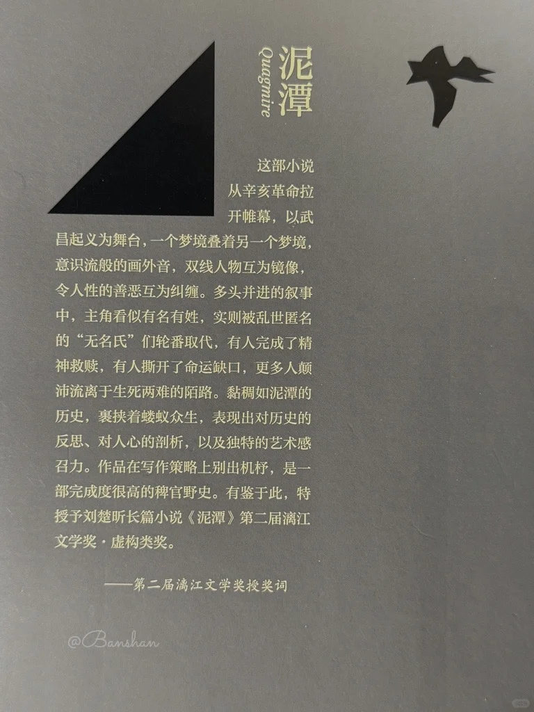 《泥潭》我的年度书单