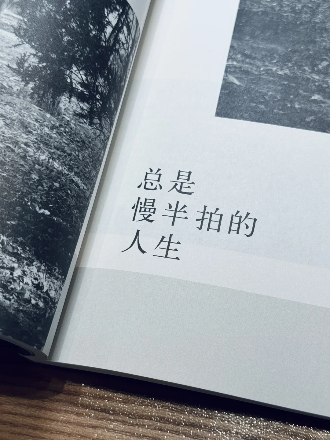 14岁的时候我想，活成独木舟的样子也不错