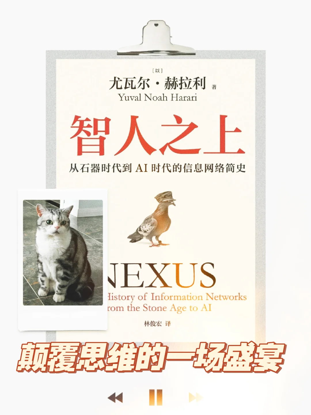 颠覆我思维的一本书