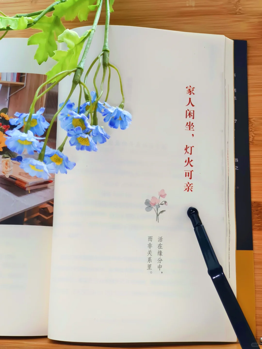 推荐小焓新书《所有发生皆为你而来》