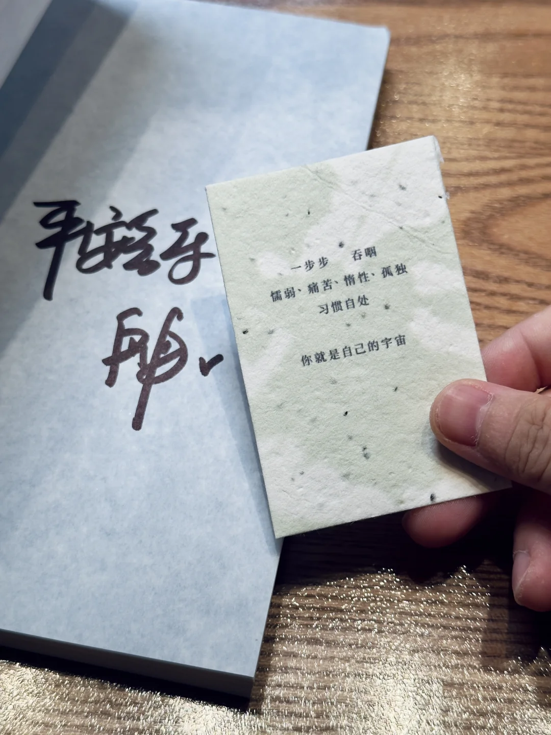 14岁的时候我想，活成独木舟的样子也不错