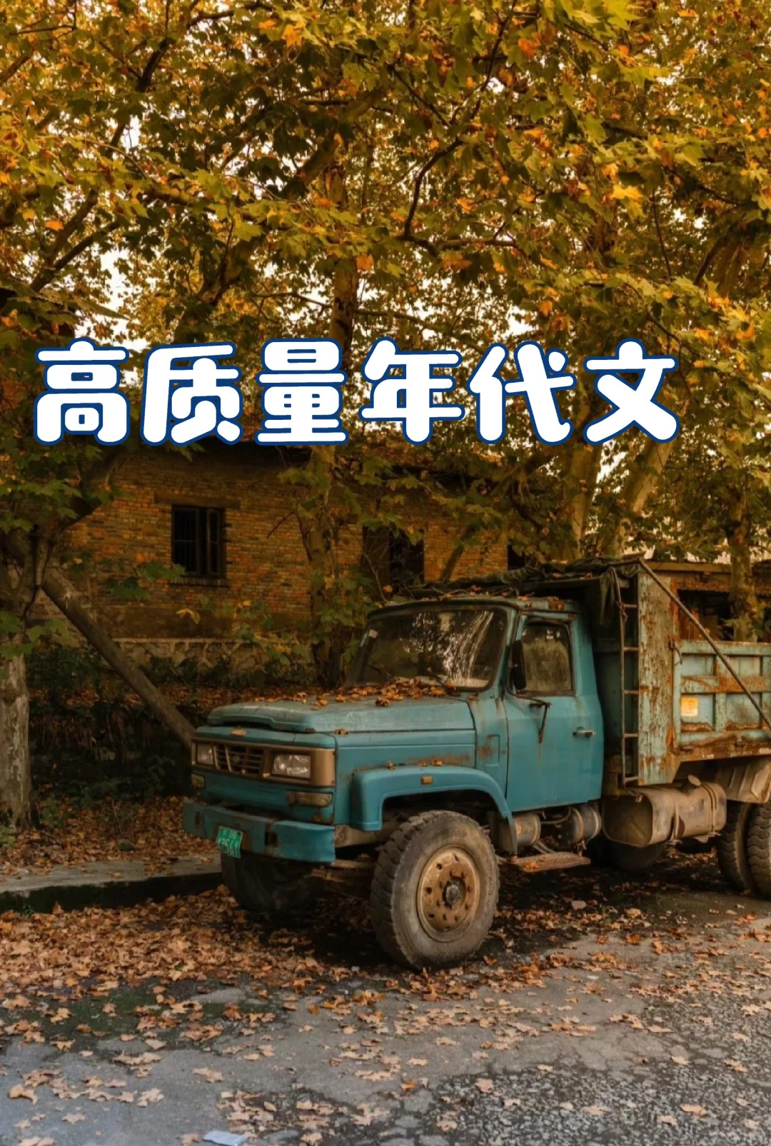 强推！熬夜必看的年代文