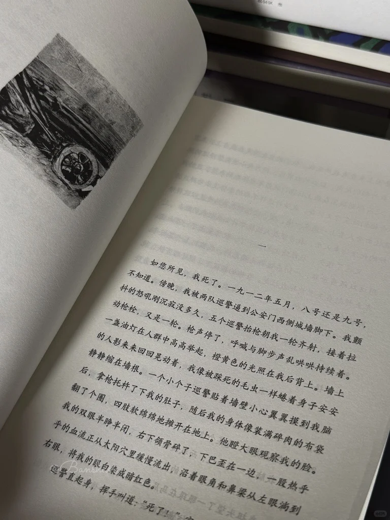 《泥潭》我的年度书单
