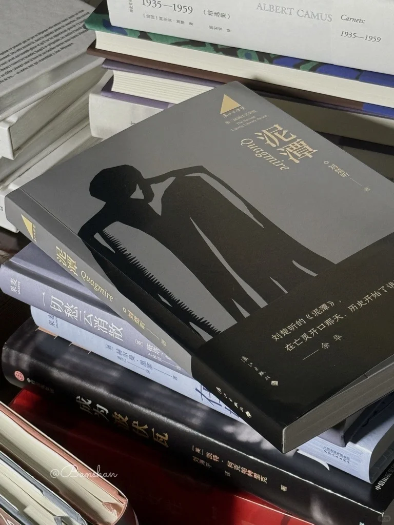 《泥潭》我的年度书单