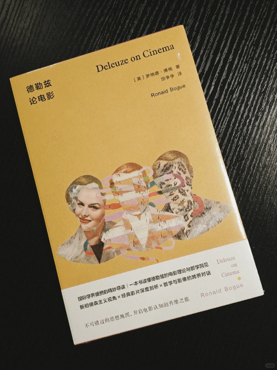 新书到店 2025.7.10