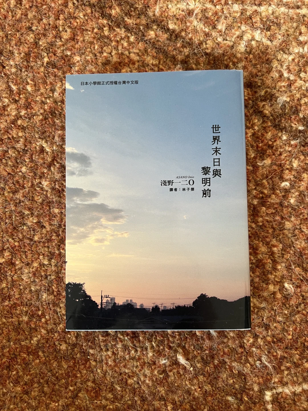 吃着冰棍儿读的暑假书单