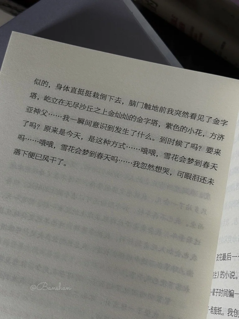 《泥潭》我的年度书单