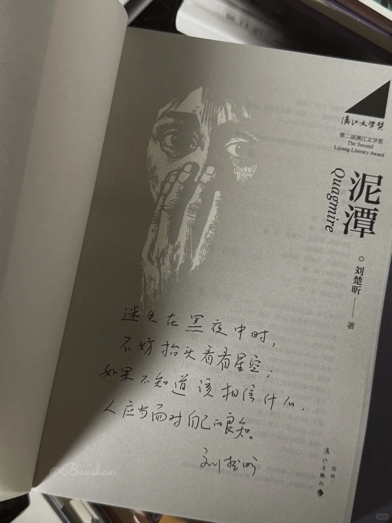 《泥潭》我的年度书单