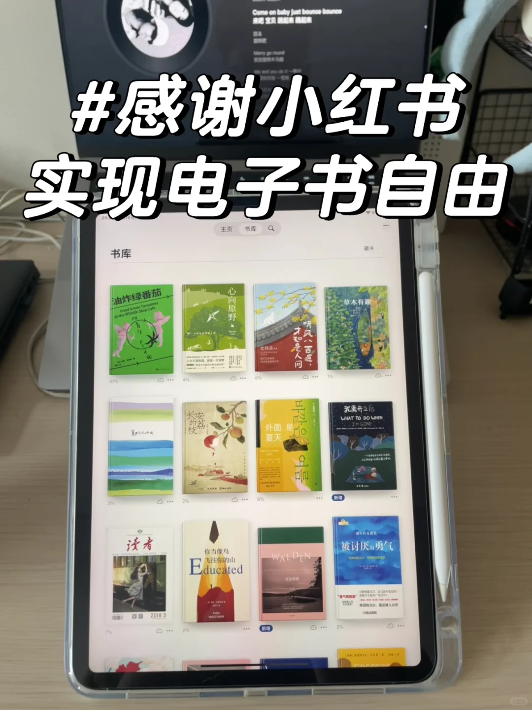 感谢小红书🙏我电子书自由啦