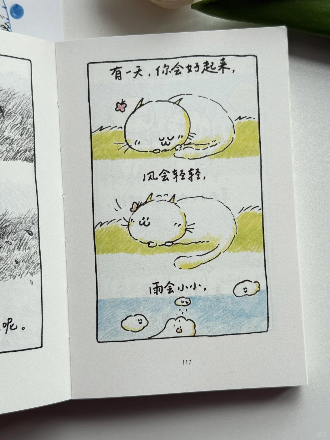 太太太治愈了🌟谁能拒绝得了这本小书啊