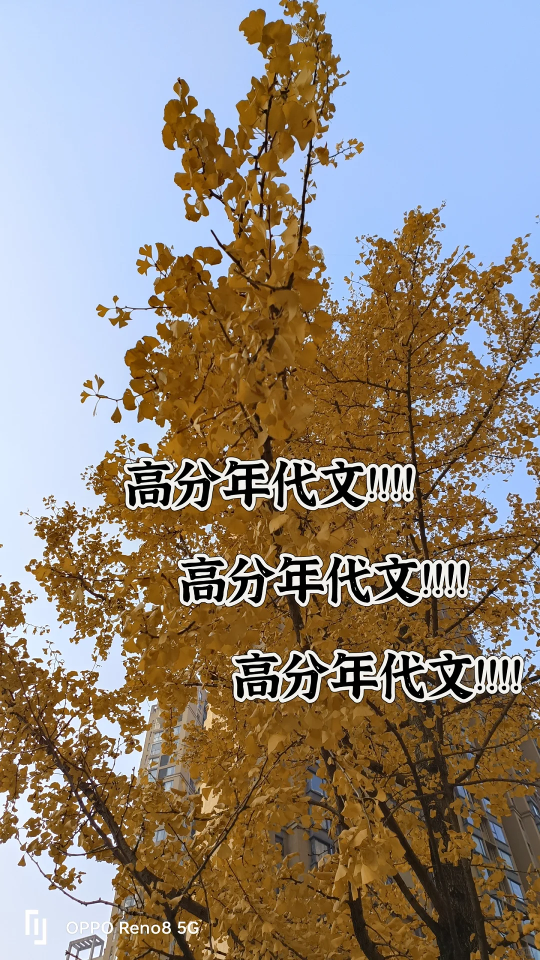 熬夜看完的高分年代文!!