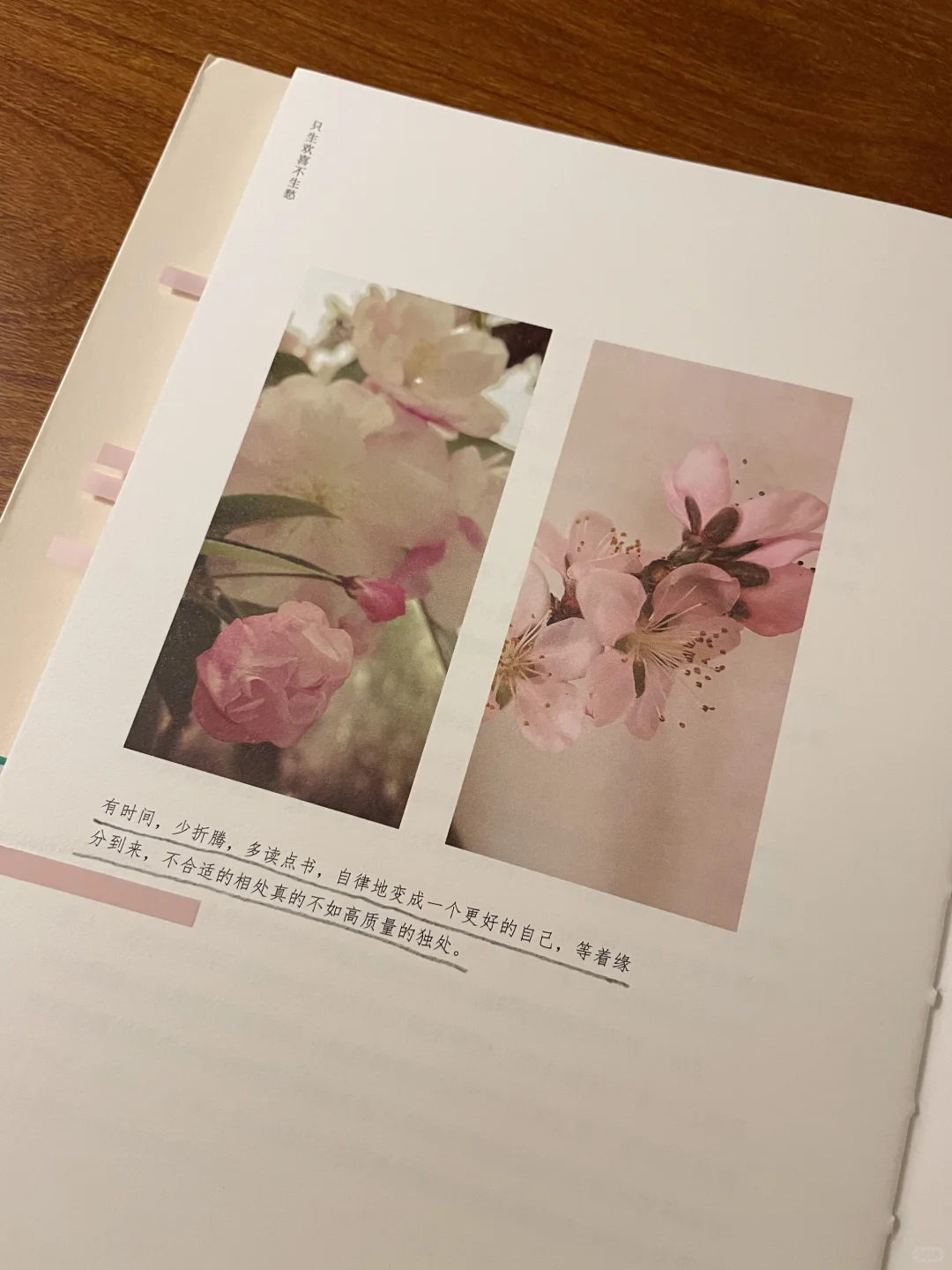 深夜书房，读书喝茶，读一本治愈散文。