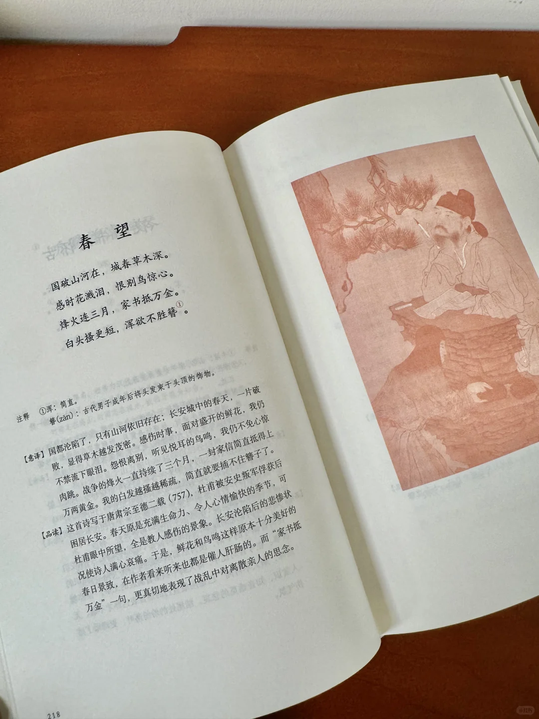 2024级新换水🔥初中必读12本名著版本推荐