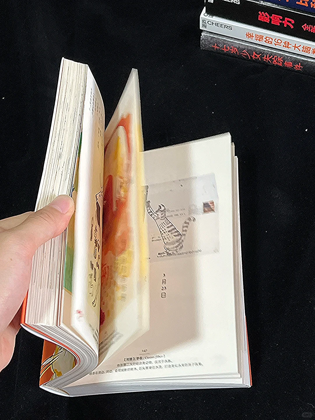 八月赠📖心理书｜所有人来抽🎁奖了