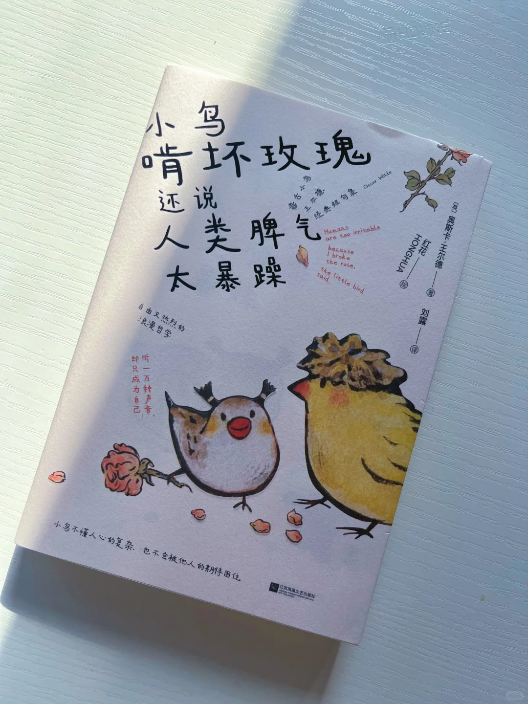 治愈绘本|我永远珍藏的7本书✏️