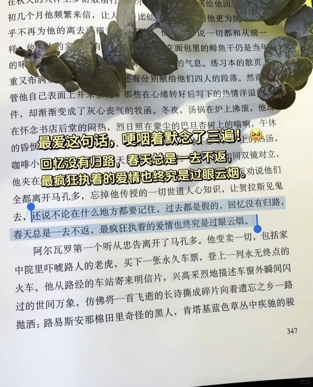 《百年孤独》
