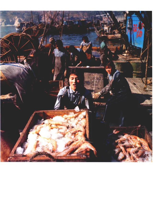 彩色的中国：跨越30年的影像历史，PDF版