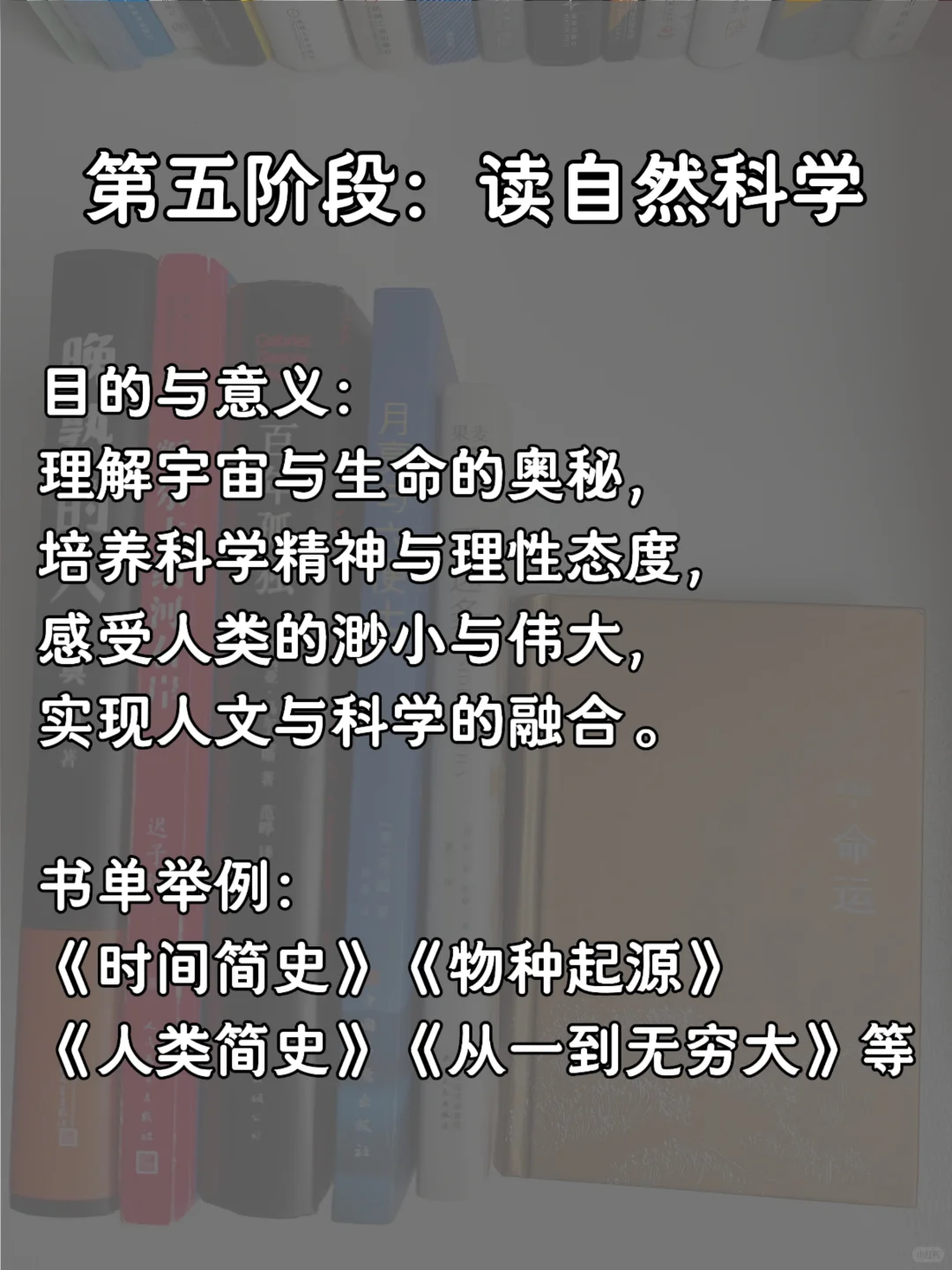 推荐一本你喜欢的经典文学小说吧💝